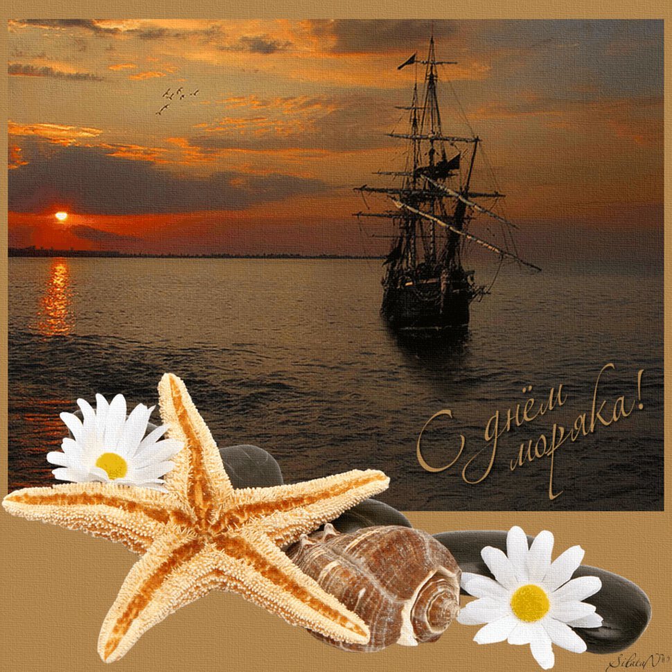 Море в чашке