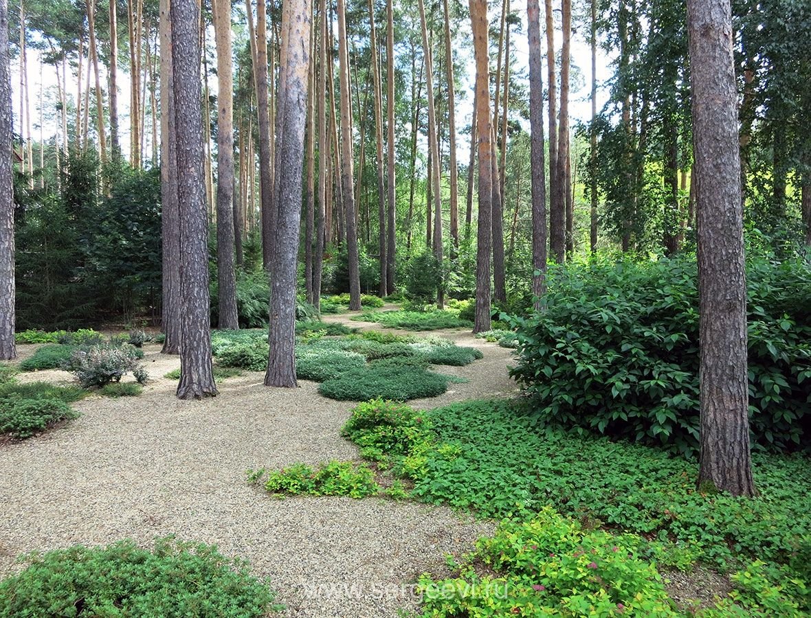 Лесной массив landshaft