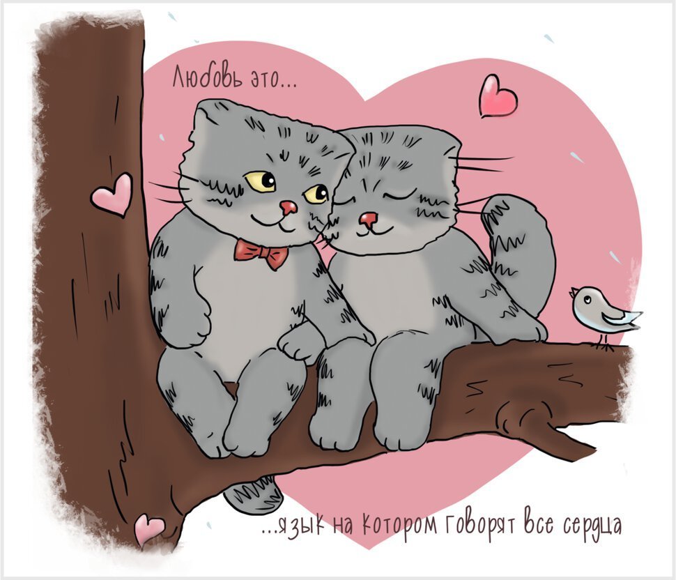 Люблю котика