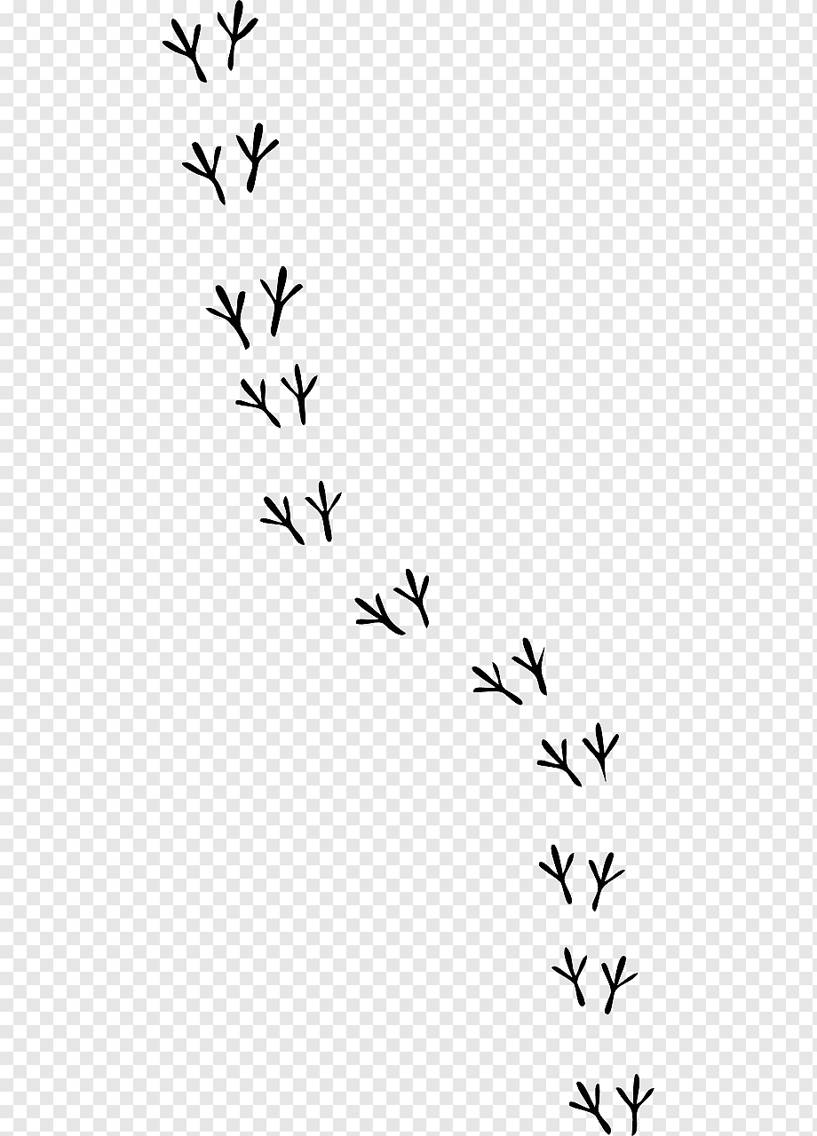 Следы птицы логотип