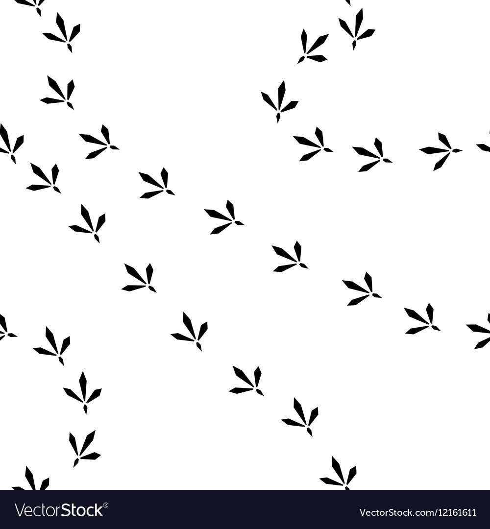 Следы голубя на снегу