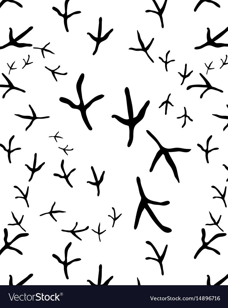 Следы ворона на снегу