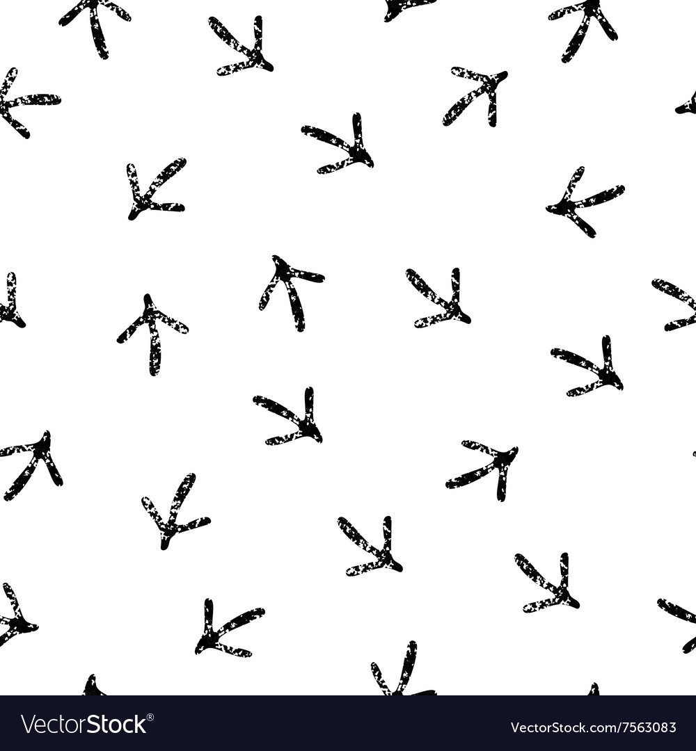 Следы птиц зимой на снегу