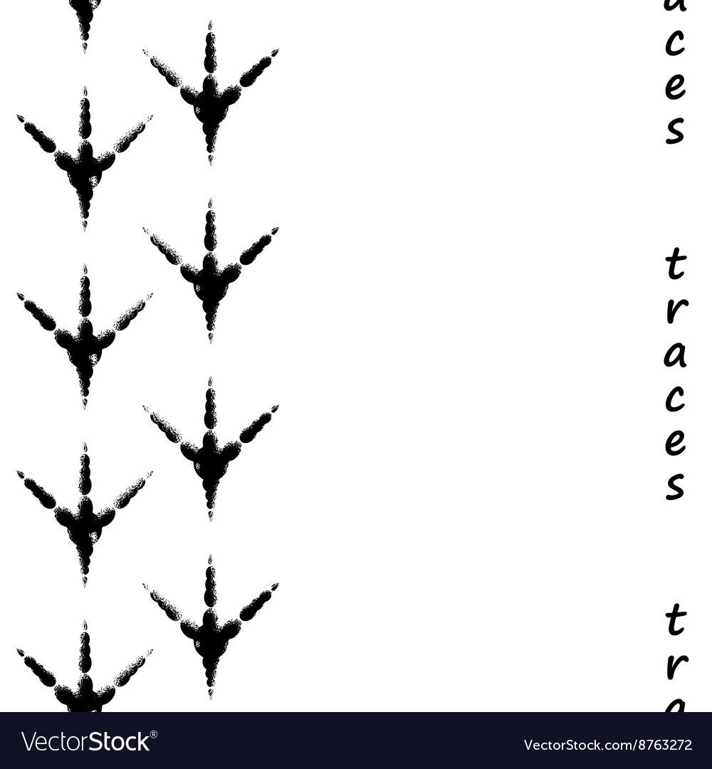 Следы птиц вектор