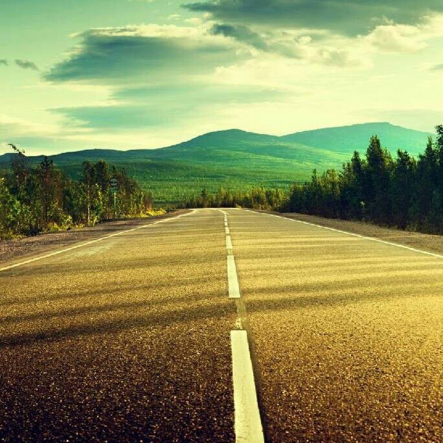 Фиолетовые розы HD