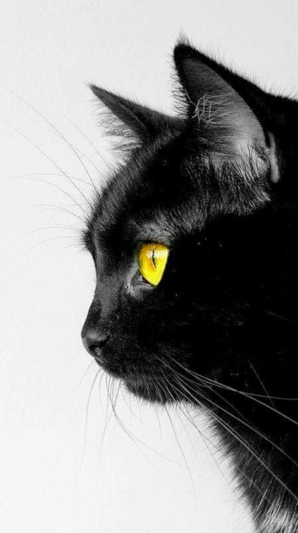 Природа Вдохновение