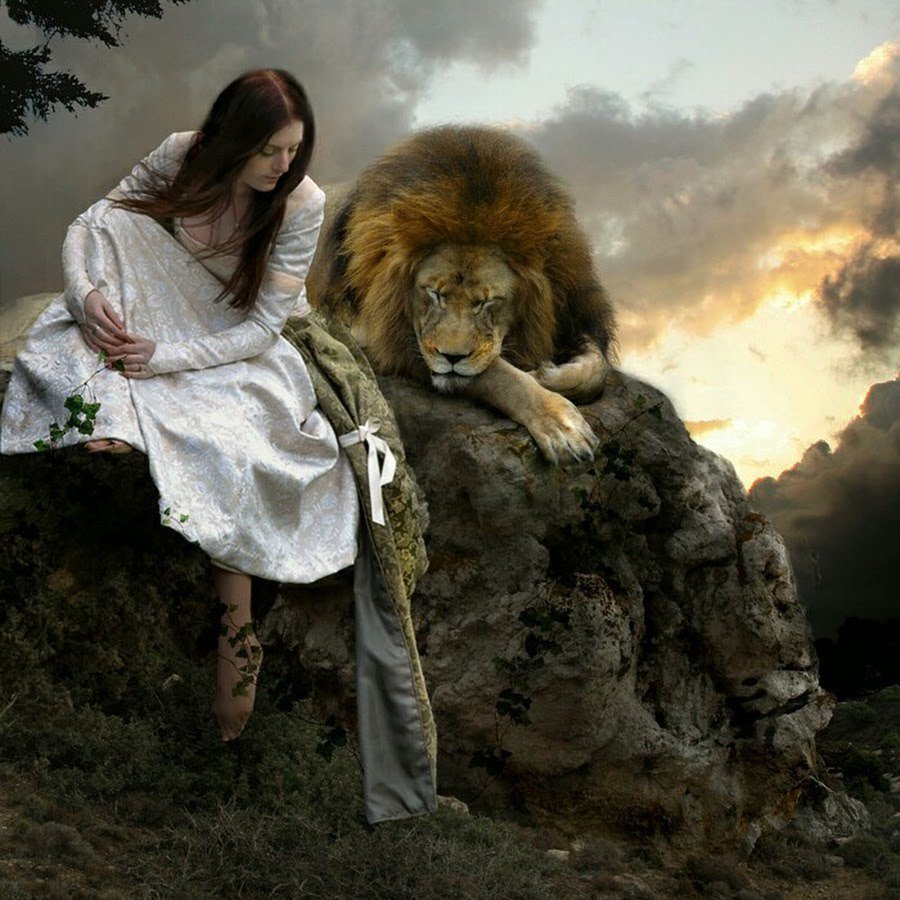 Фотосессия со львом