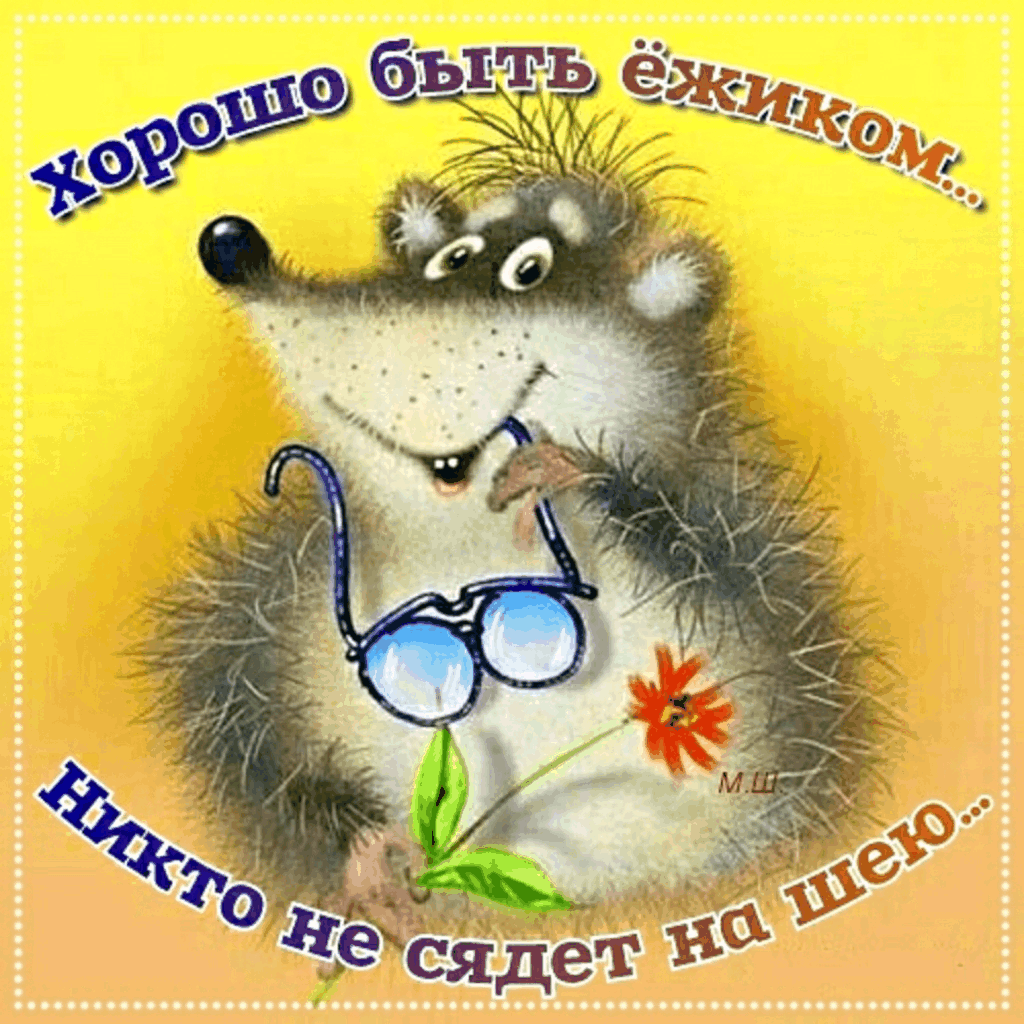 Инга Измайлова иллюстрации ежики