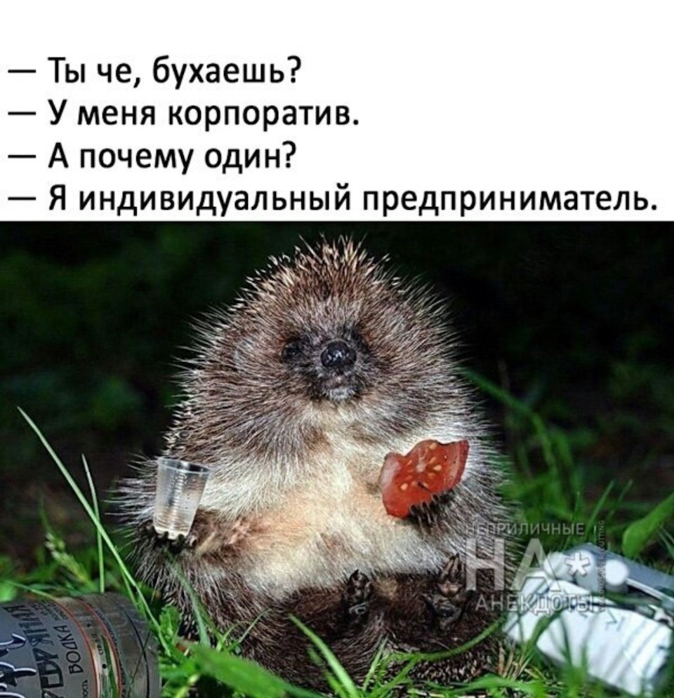 Настроение уставший Ежик