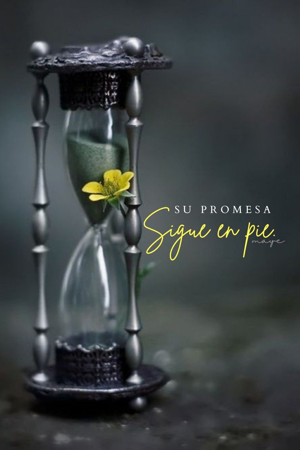 Песочные часы жизни