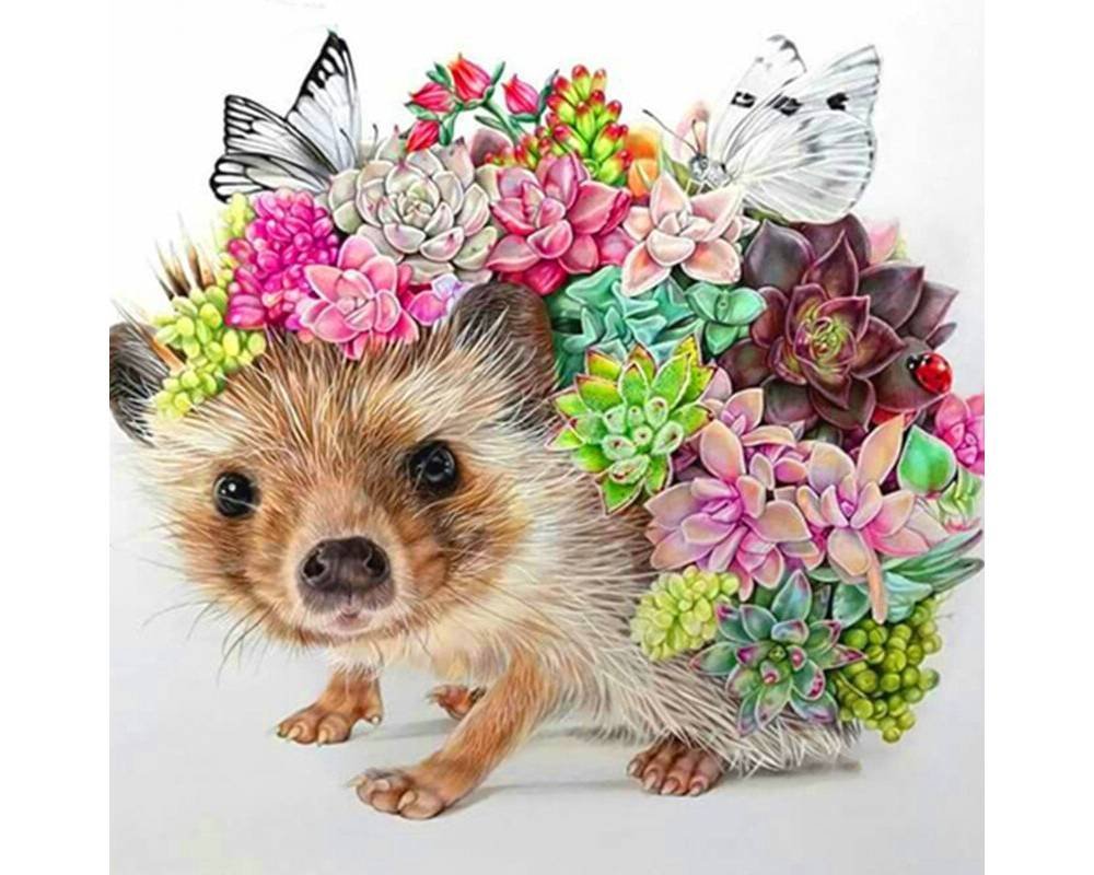 Милые ежики иллюстрации