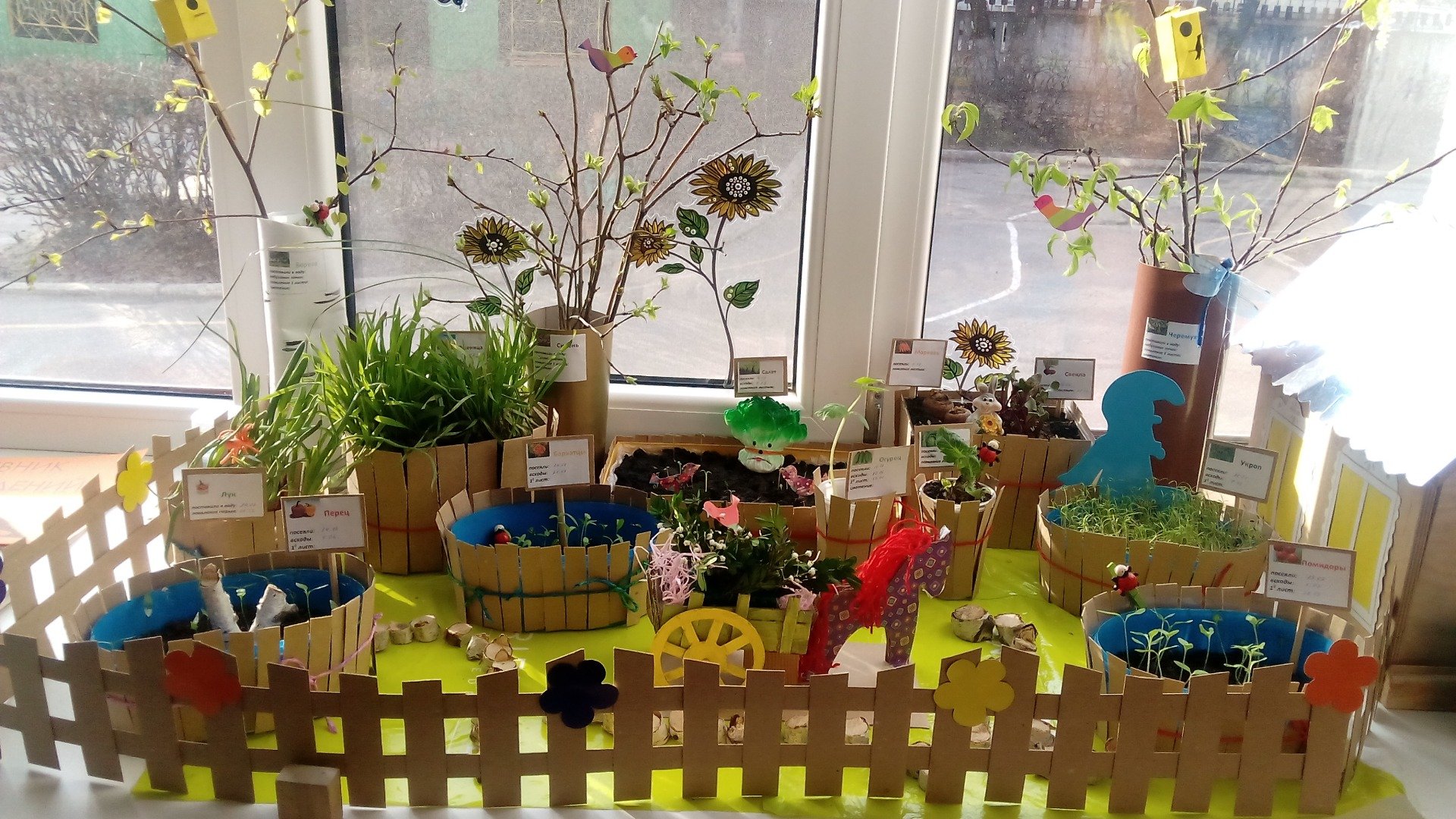 Огород на окне цветы. Огород на подоконнике. Огород на окне в детском саду. Огород на подоконнике в детском. Мини огород в ДОУ на подоконнике.