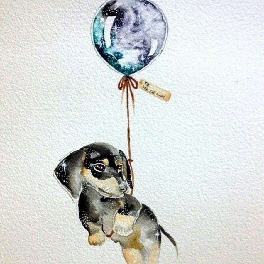 Собака на воздушном шаре