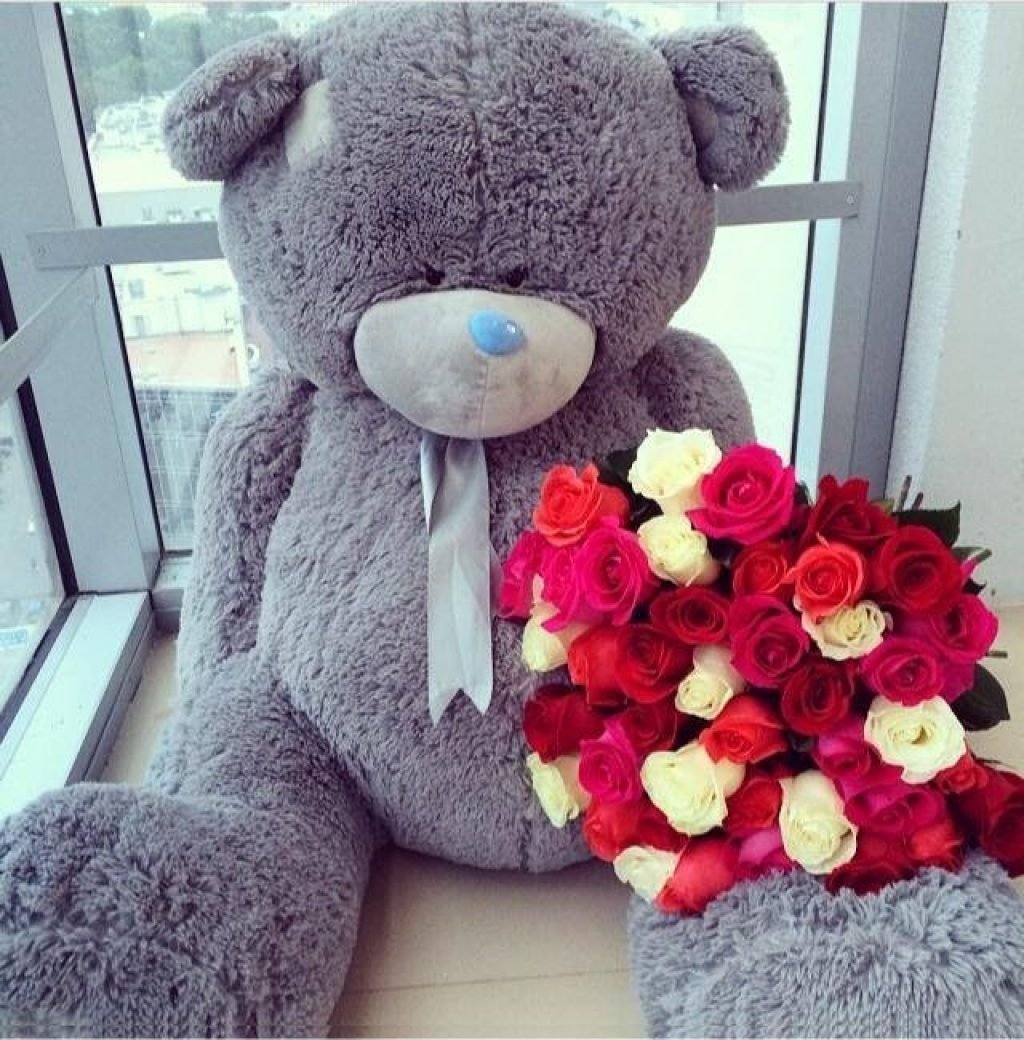 Тедди Беар цветы