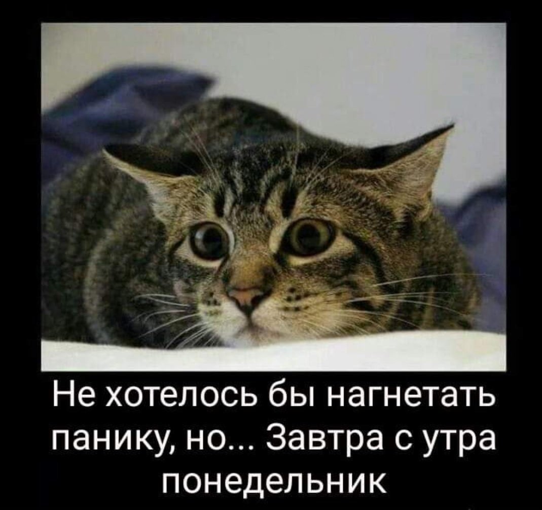 Не хотелось бы нагнетать панику но завтра с утра понедельник