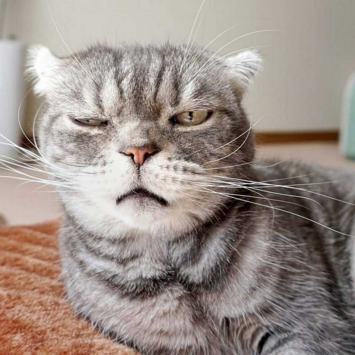 Воскресенье приколы