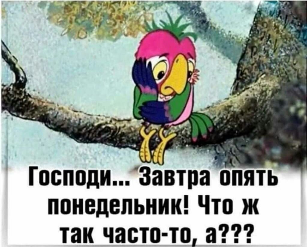 Завтра опять понедельник