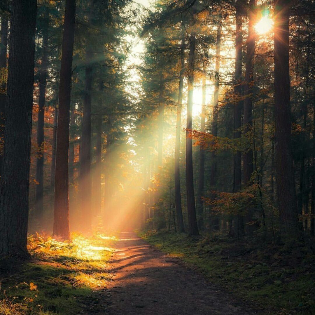 Утро солнце