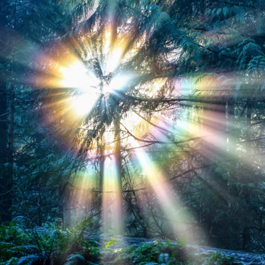 Солнечные лучи