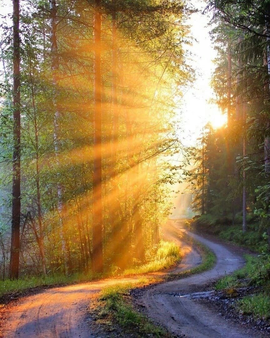 Лучи утреннего солнца