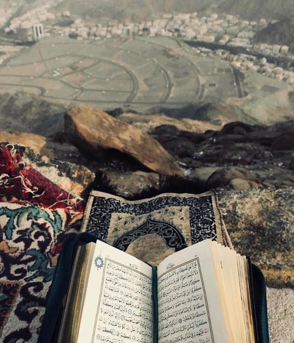 Дневник мусульманки