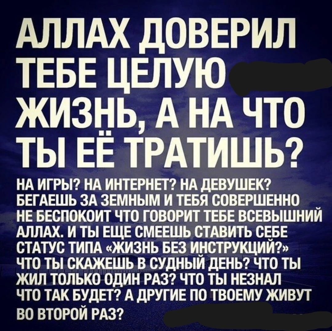 Друг в Исламе