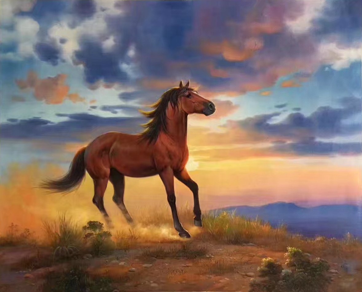 Доброе утро с лошадьми