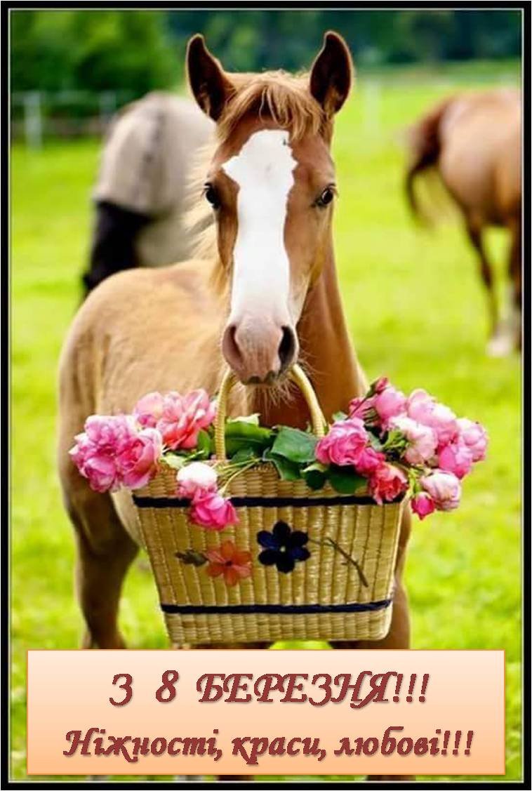 Лошадь с цветами в зубах