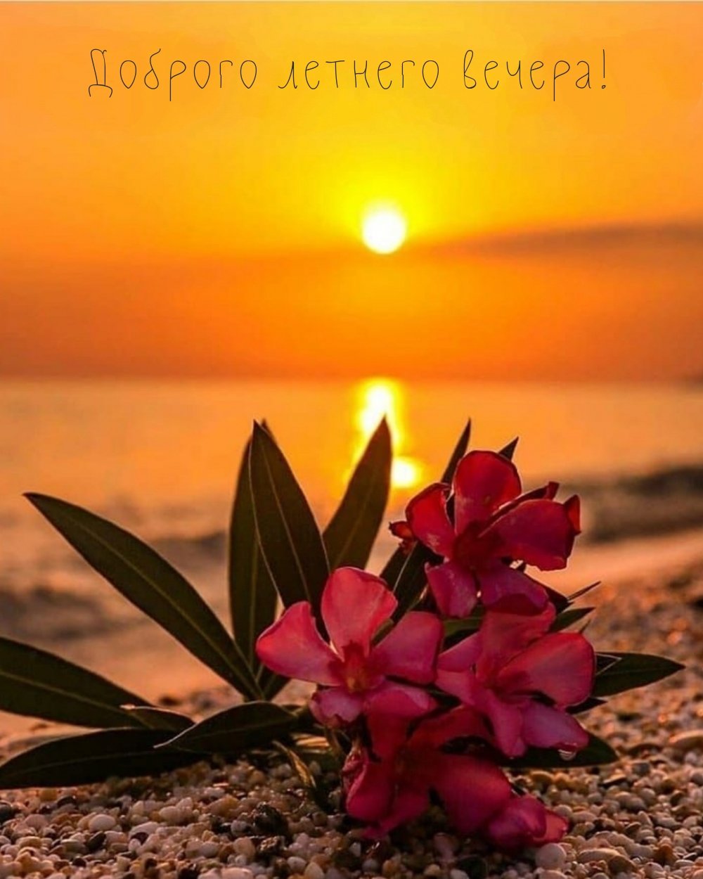 Пожелания спокойной ночи и хорошего настроения