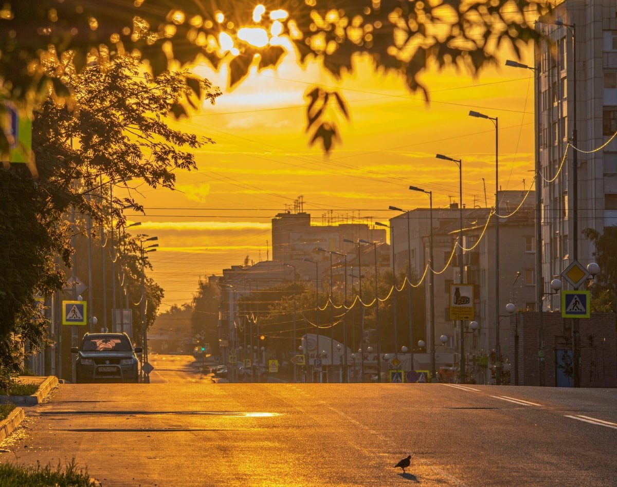 Правительство Курганской области