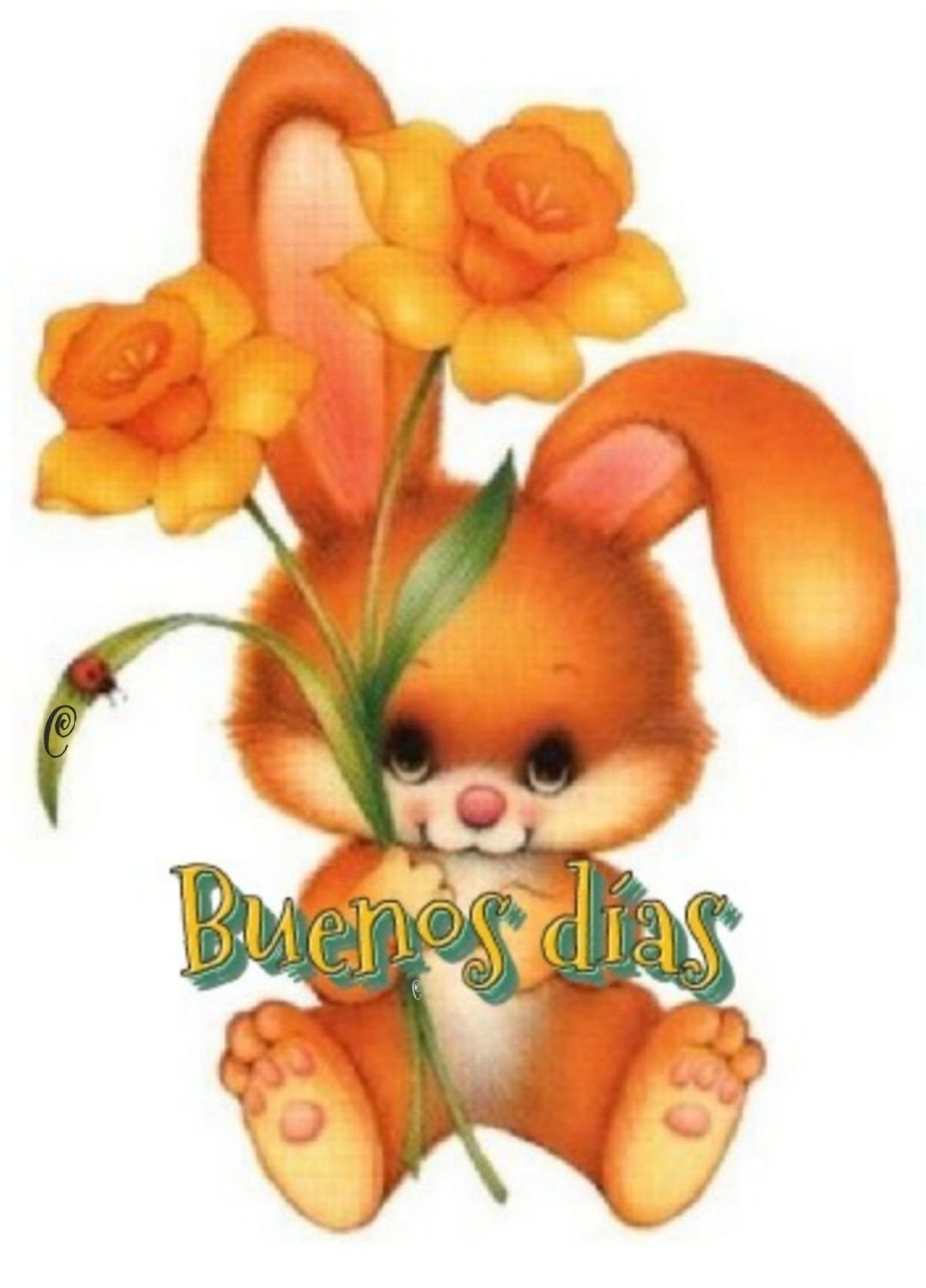 Красивая Зайка