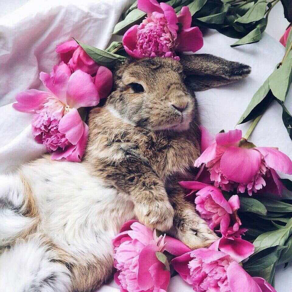 Зайчик с цветами