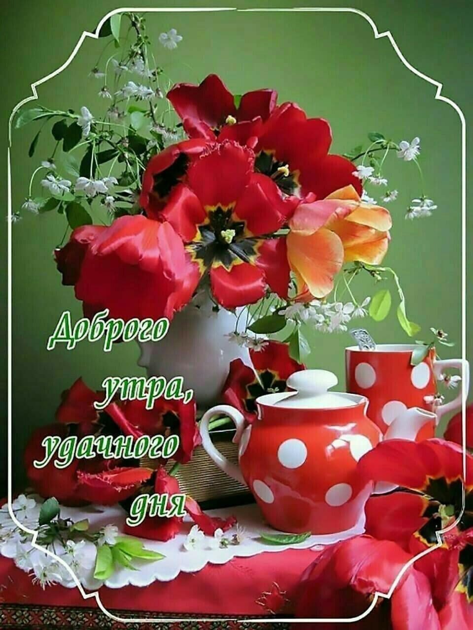 Замечательного утра и прекрасного настроения