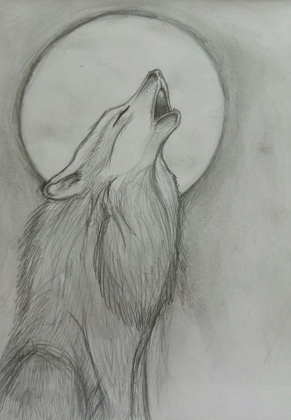 Рисунки Волков карандашом