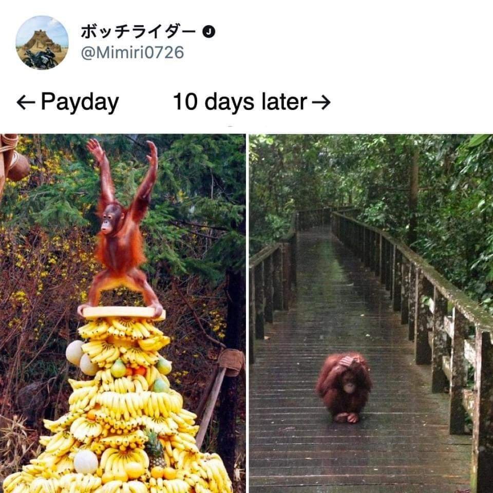 Исторические несмешные мемы