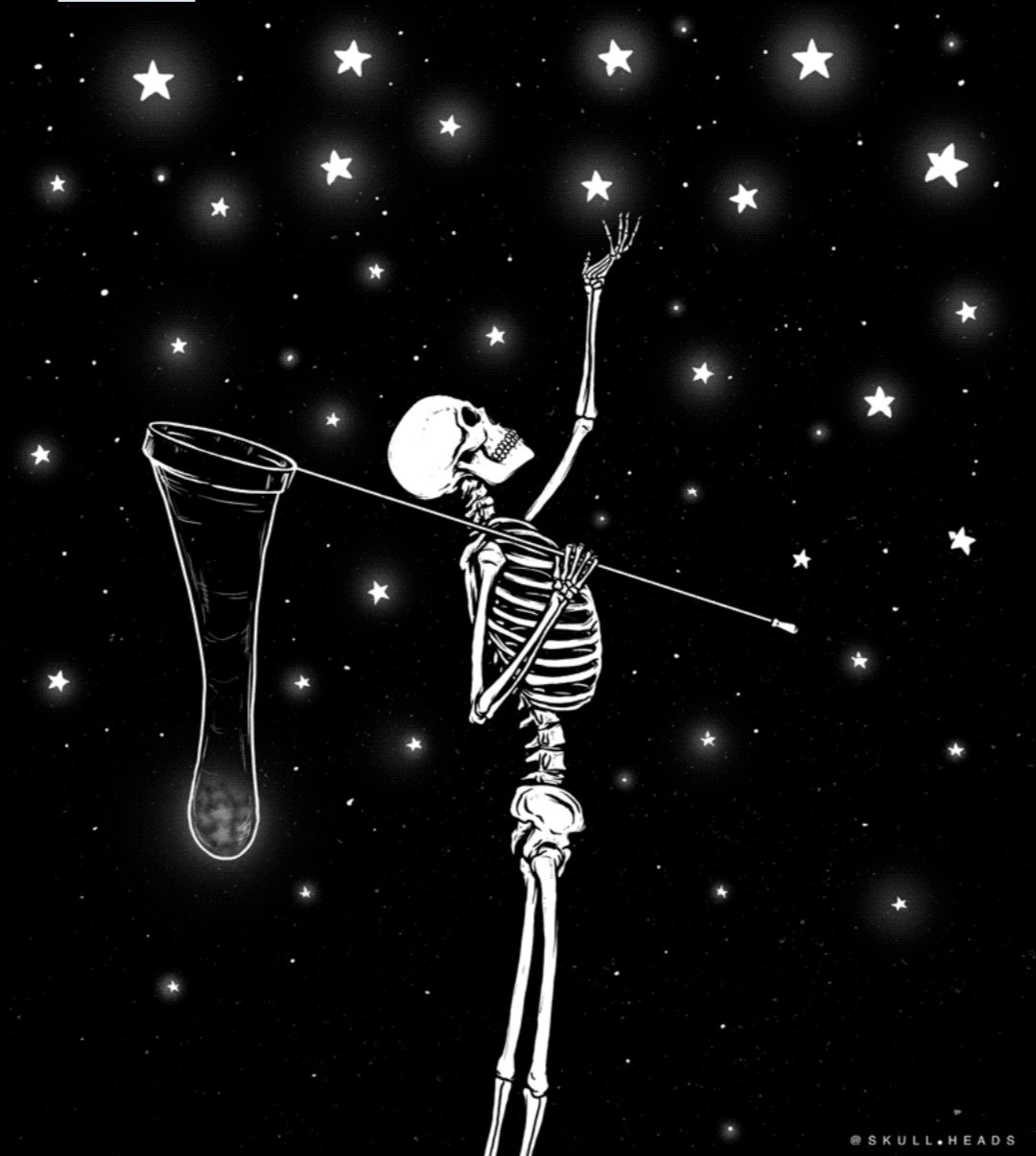 Скелет звезды