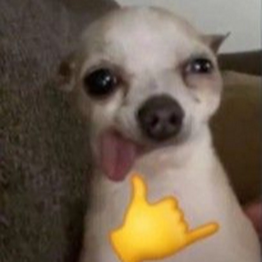 Твоя Звездочка