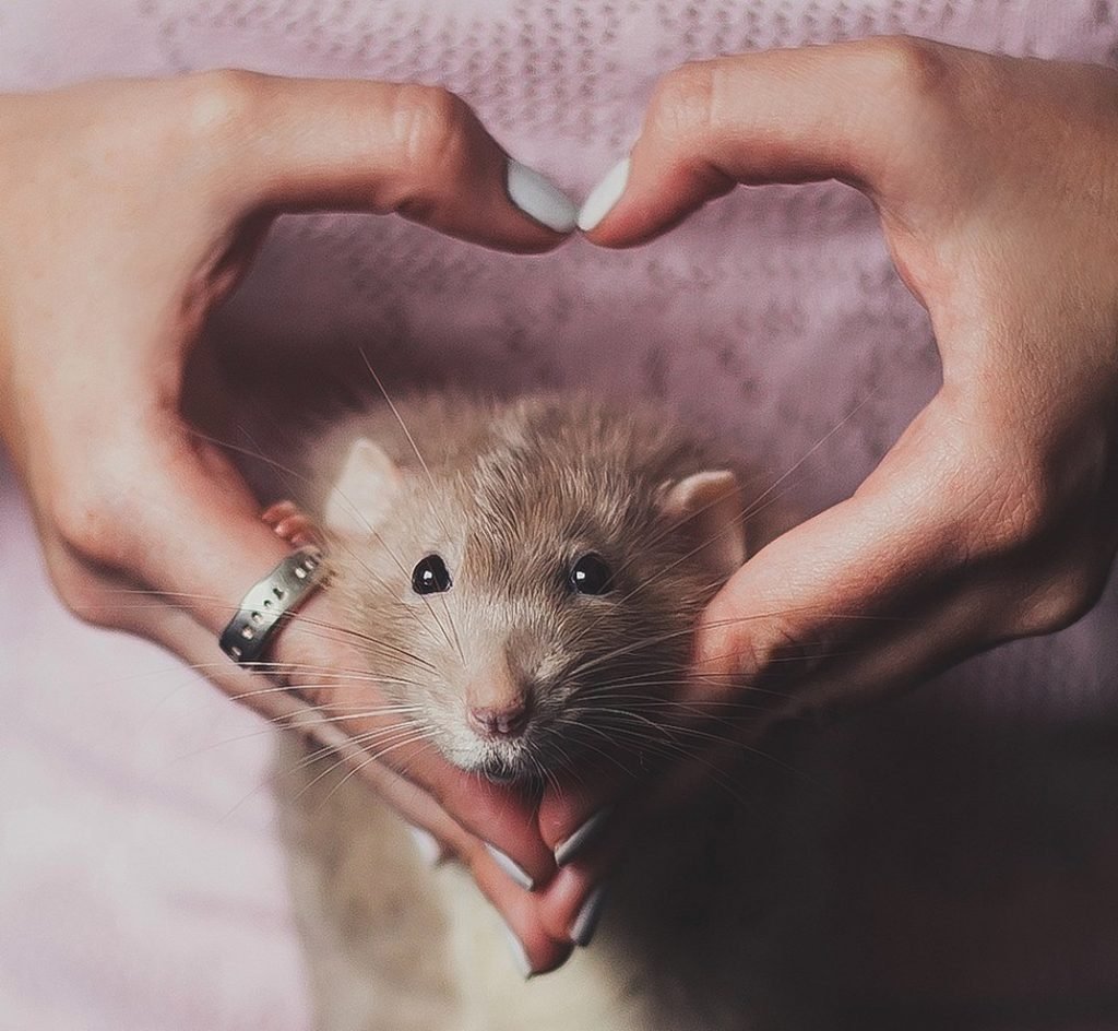 Рука на мышке