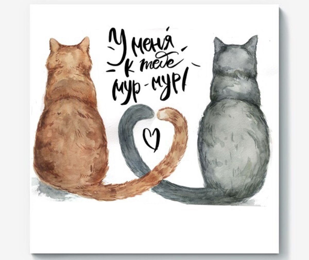 Я тебя Мур Мур