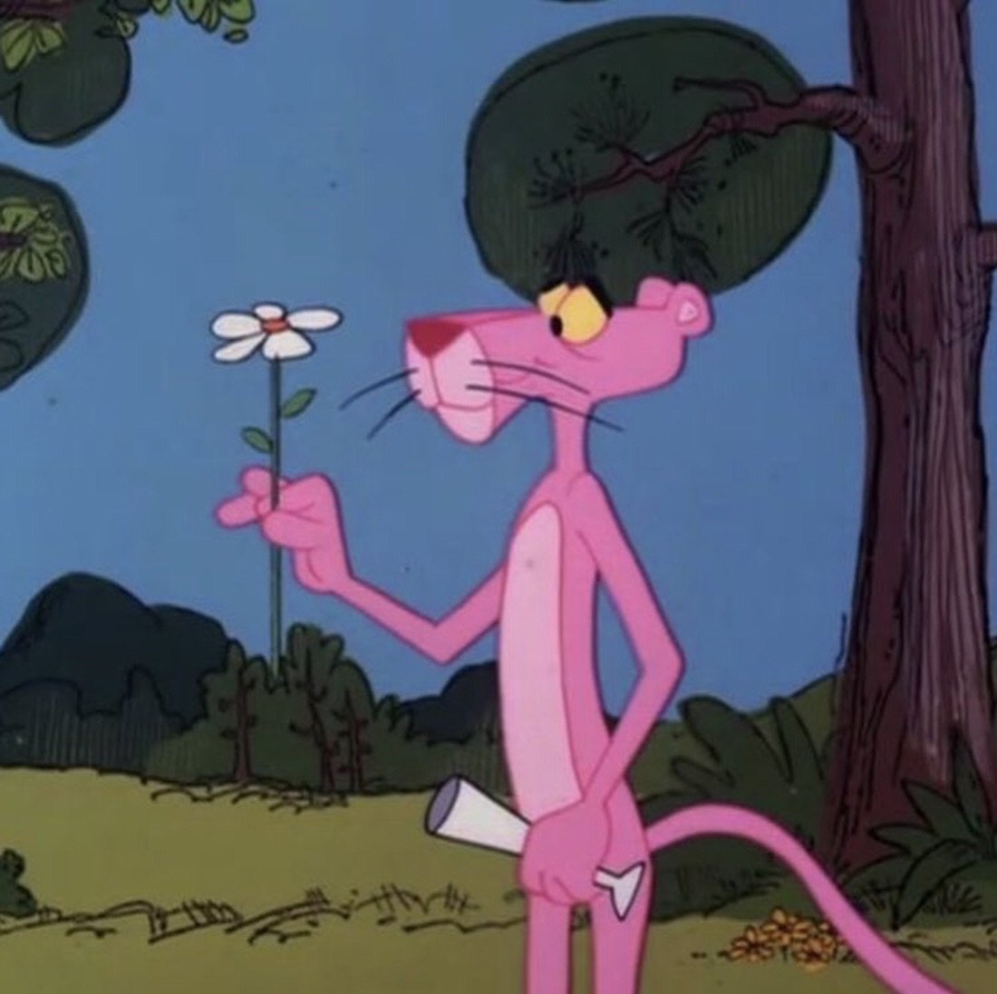 Розовая пантера