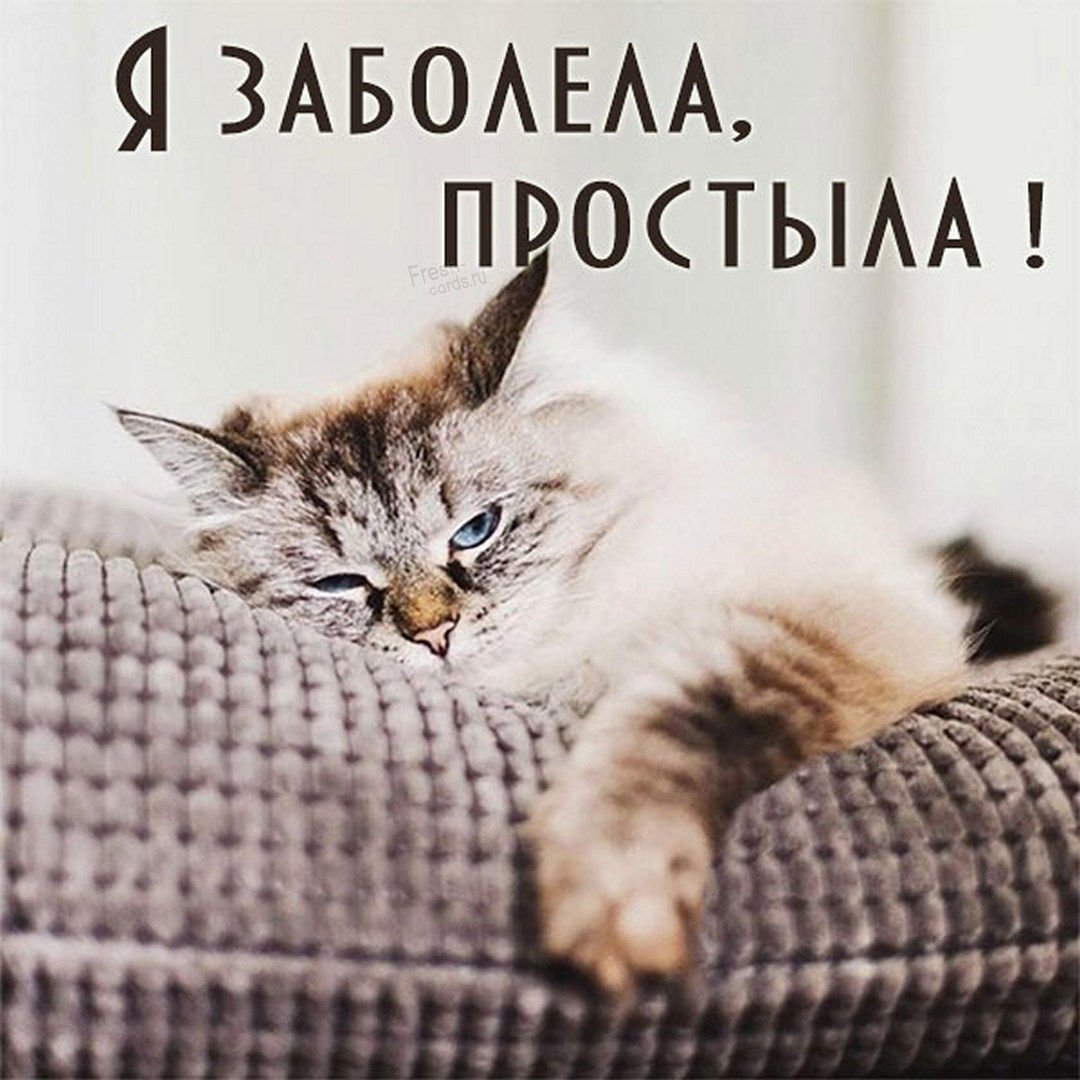 Открытки с понедельником прикольные