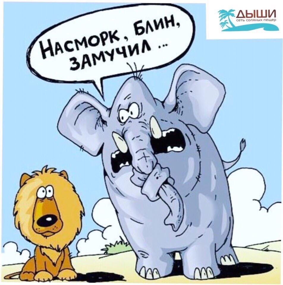 Карикатура сопливый