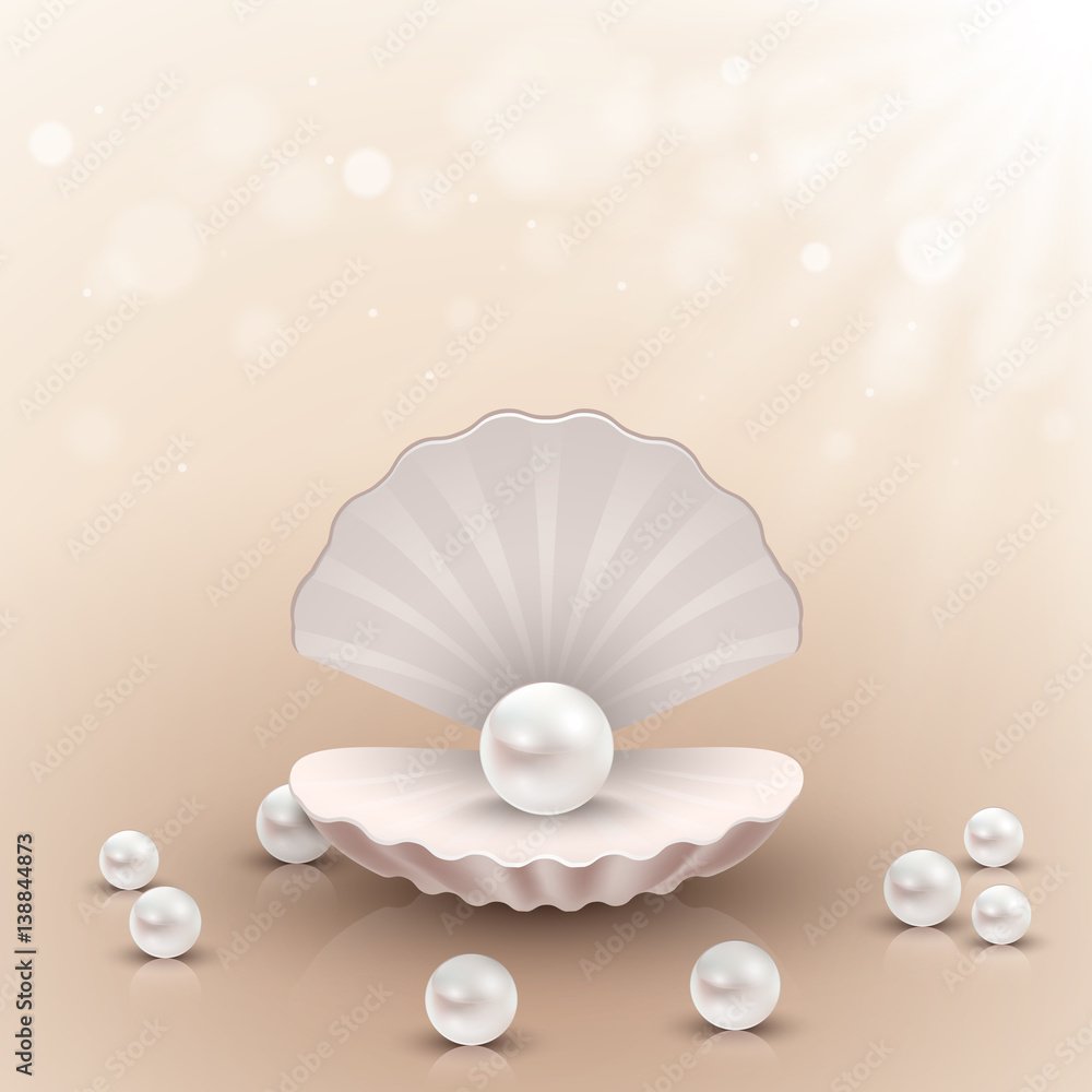 Раковина гребешка с жемчужиной