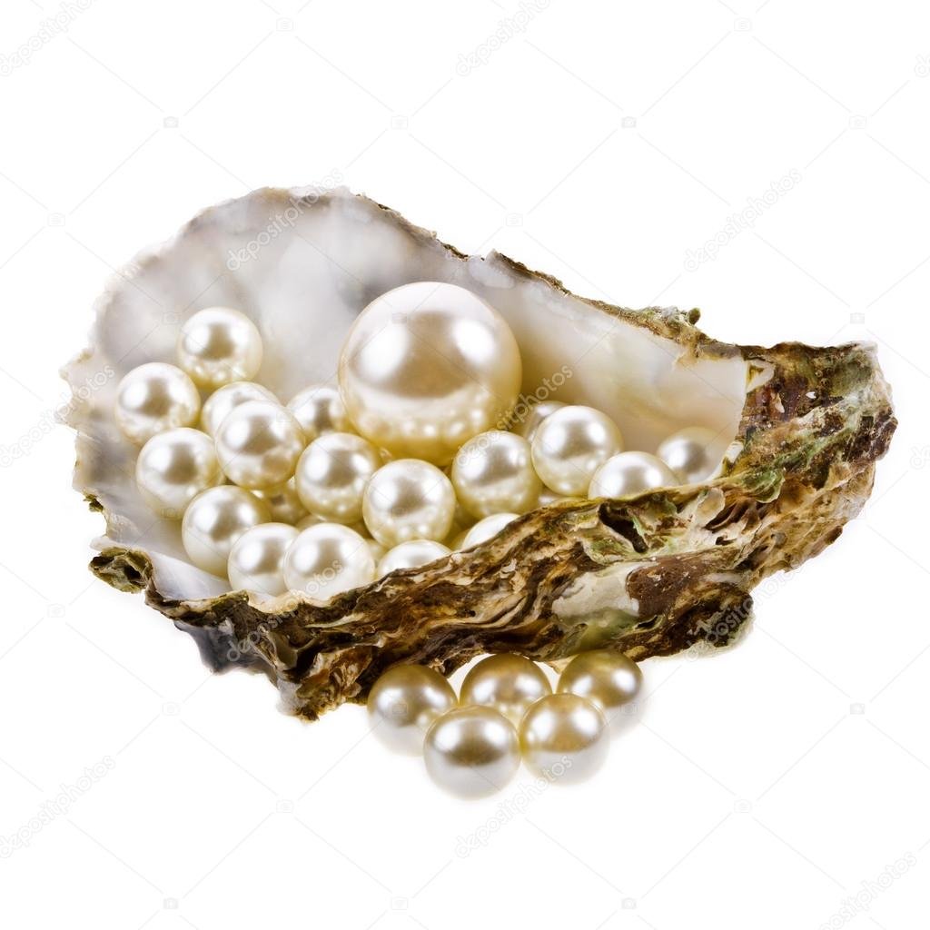 Жемчужина в раковине вектор