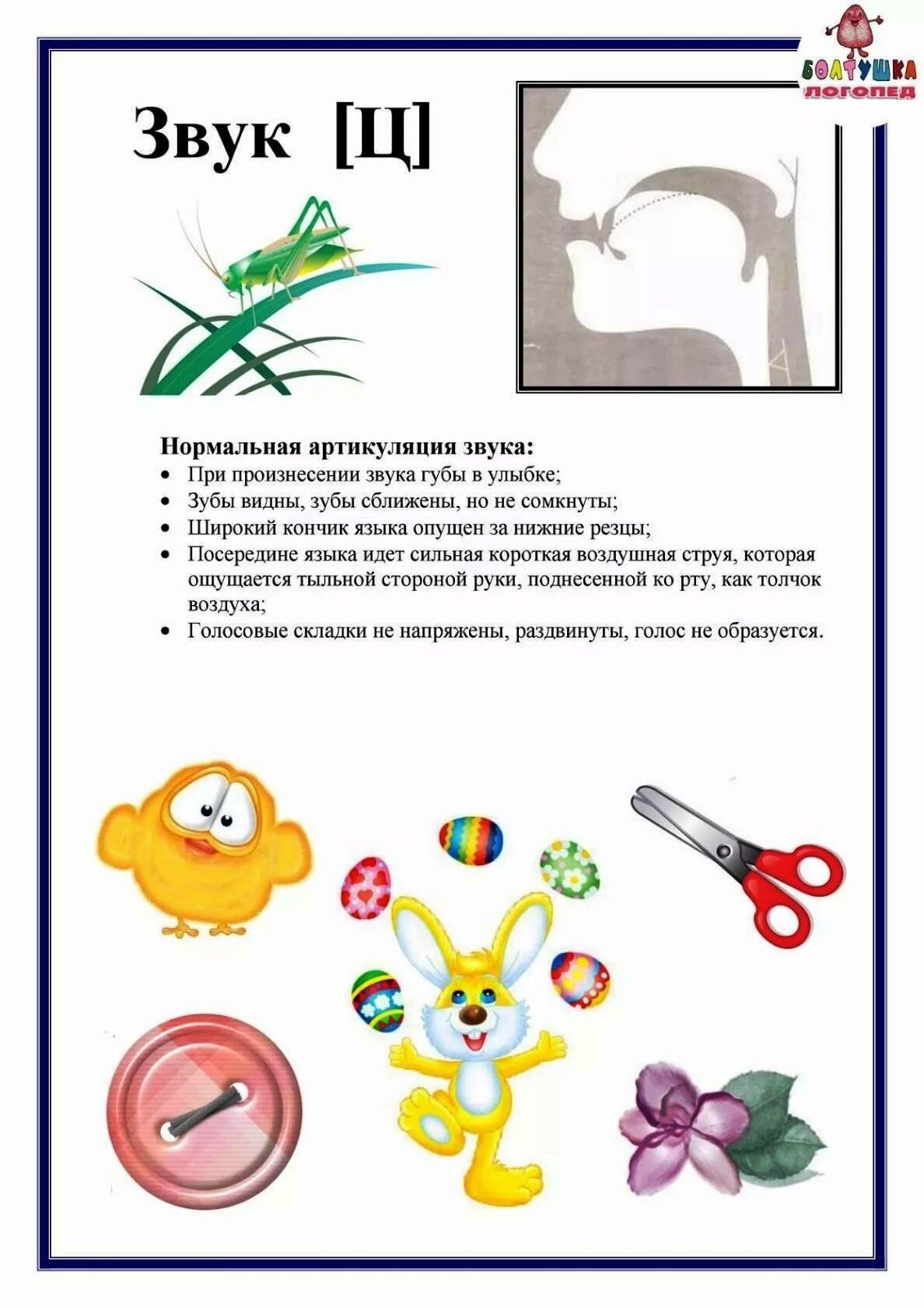 Правильная артикуляция звука ц для детей