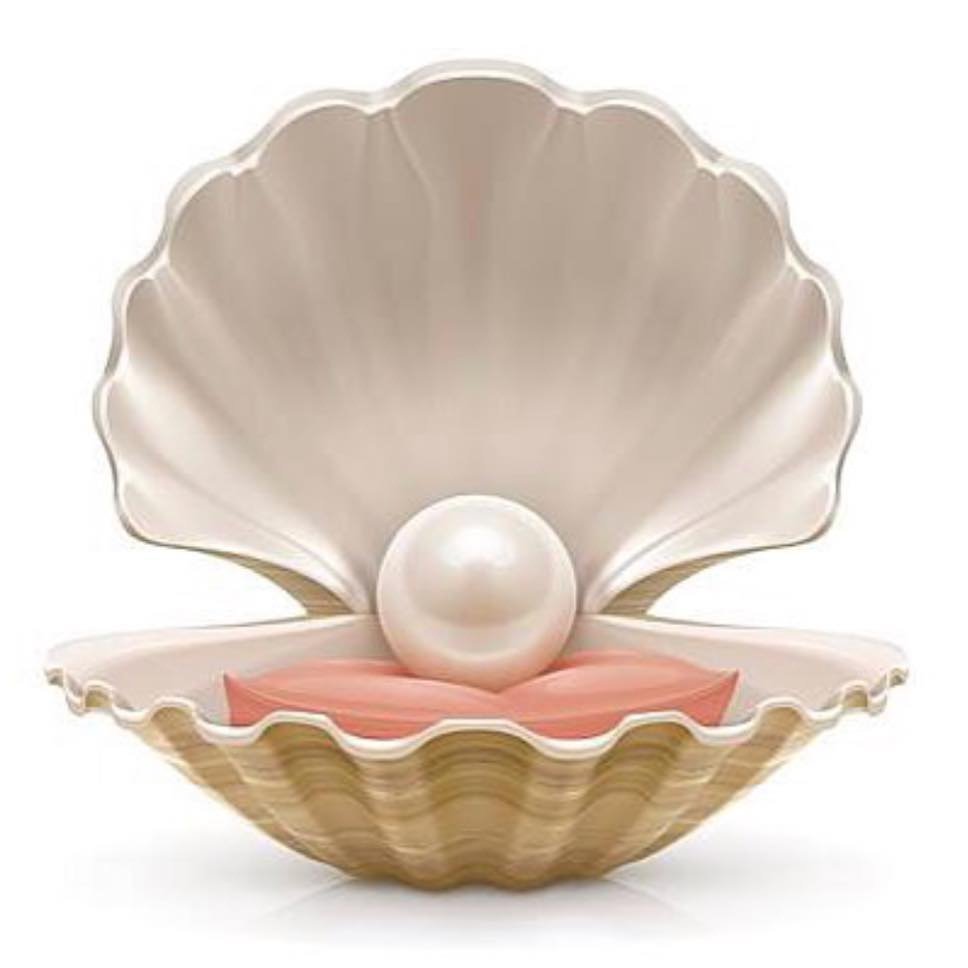 Ракушка гребешок с жемчужиной