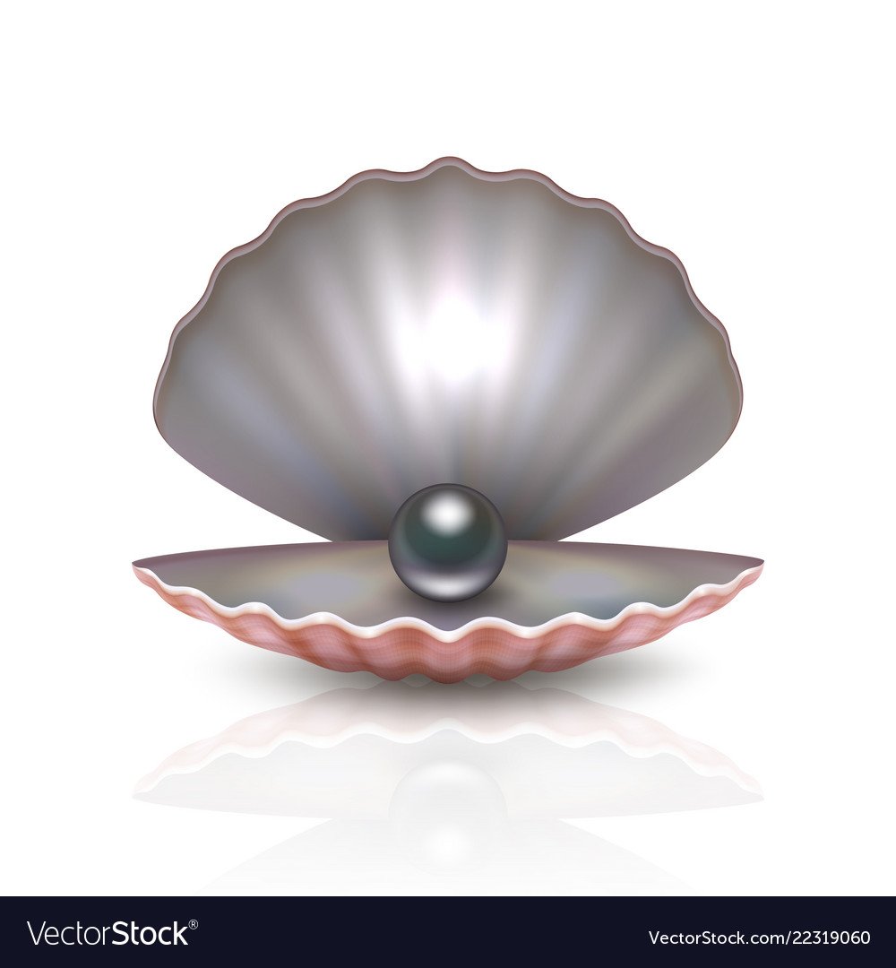 Ракушка с жемчужиной для детей