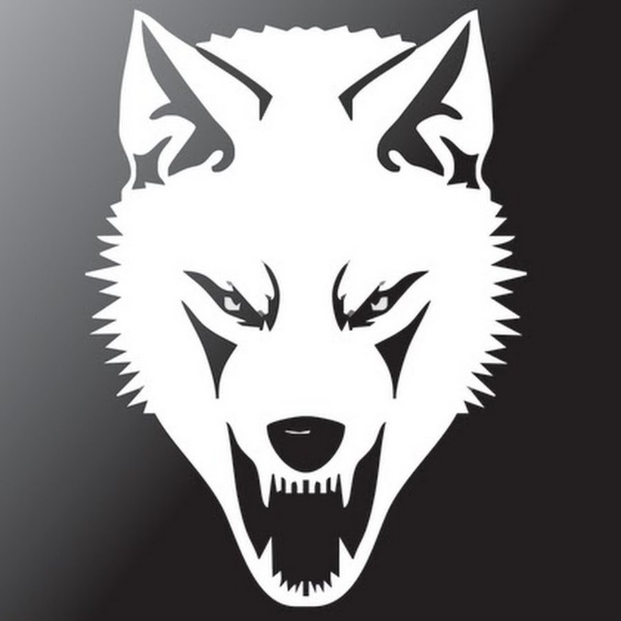 Моя земля Мои правила