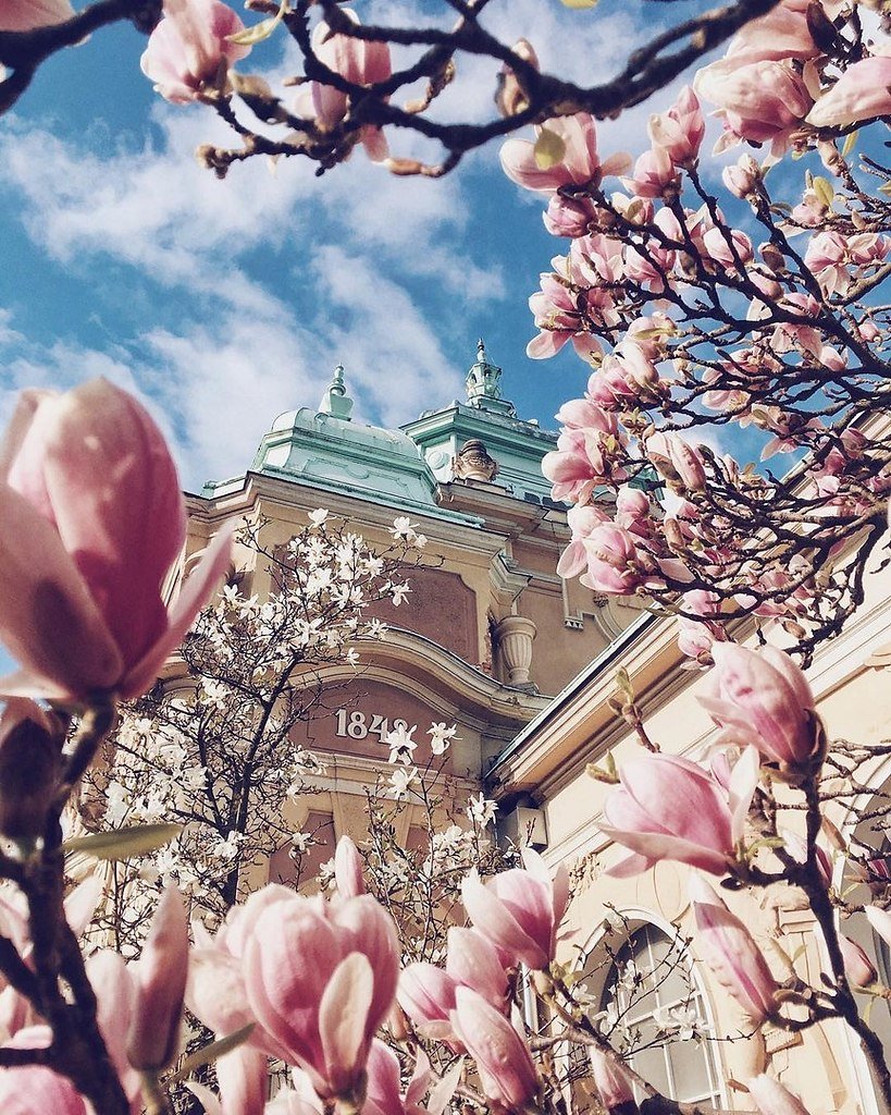 Красивые картинки церковь весной