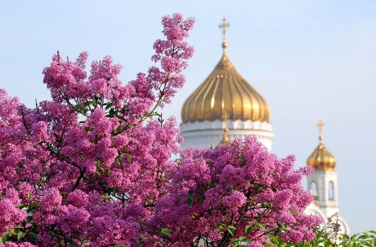 Церковь весной